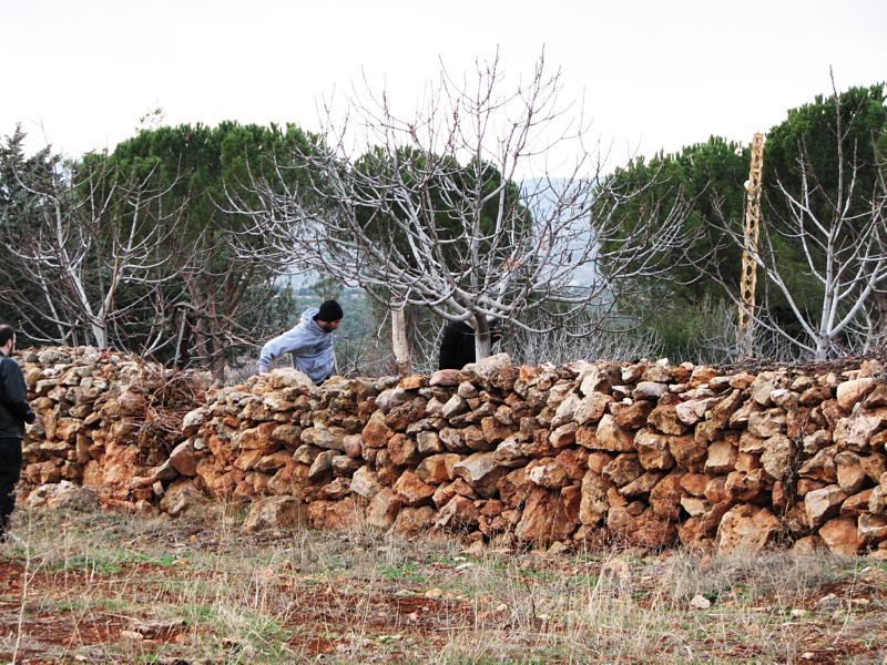 The backyard of the original Maroun house