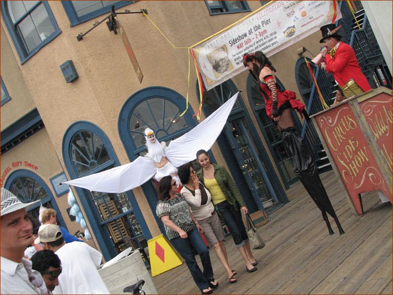 Seagull and bearded woman on stilts on the pier