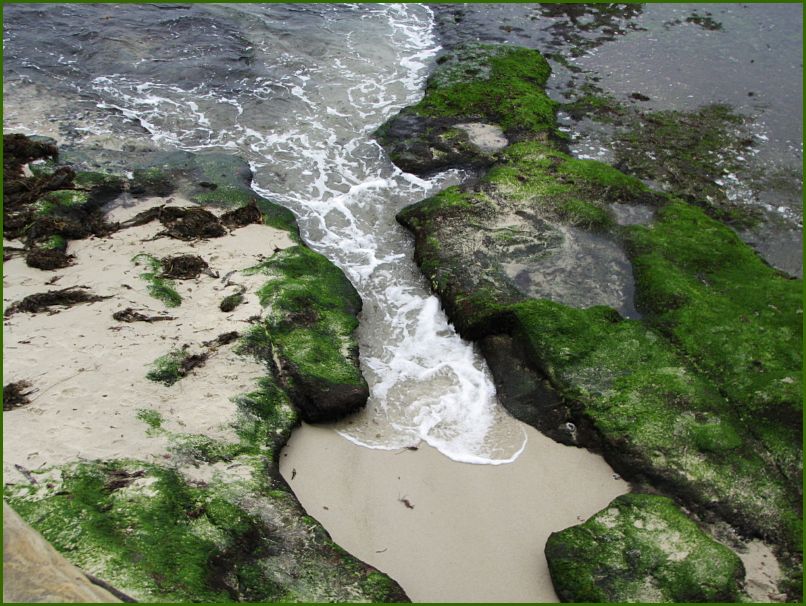 La Jolla Beach