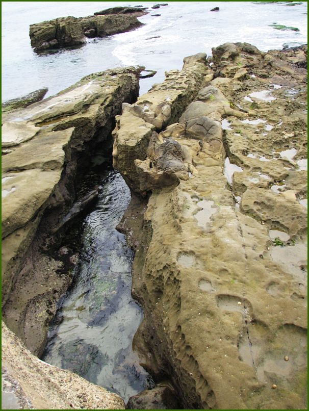 It was such a neat area, great beach landscape