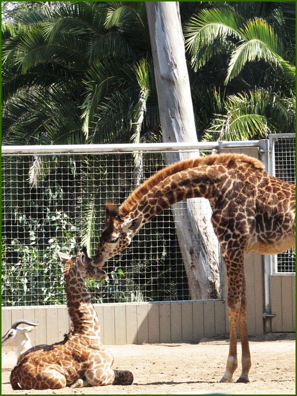 Baby and sibling...awwww