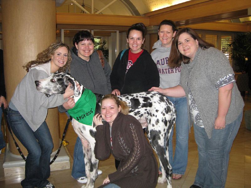 Meeting Gibson -- World's Tallest Dog!